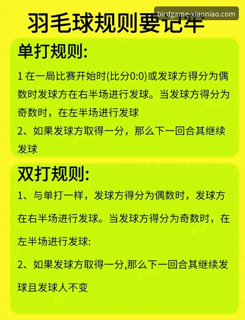 小鸟体育全球赛事操作教程：从新手到高手的完整指南