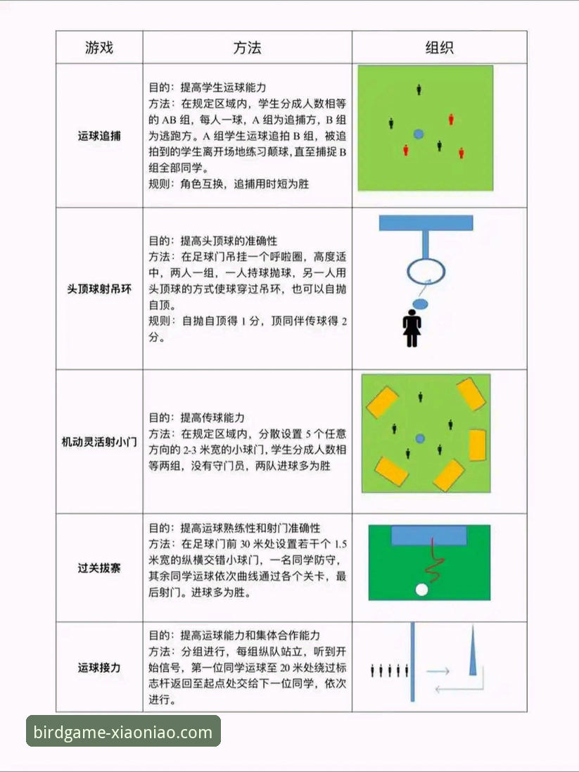 小鸟体育全球赛事操作教程：从新手到高手的完整指南