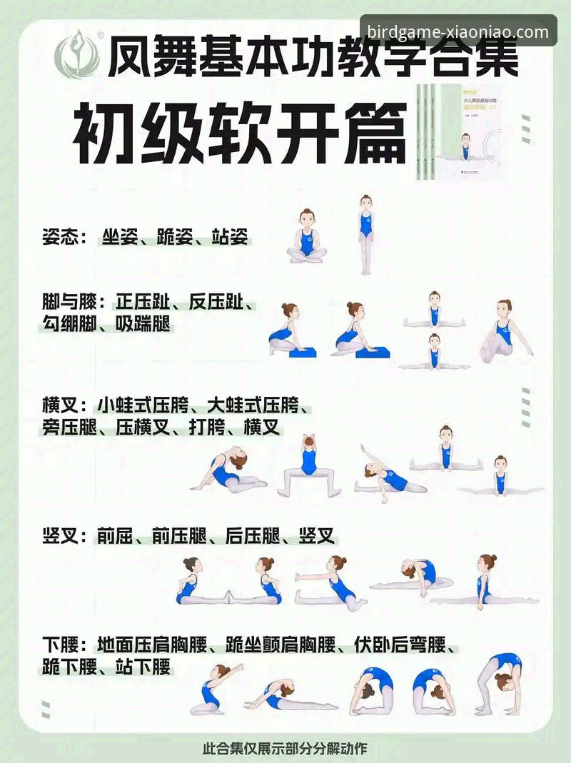 小鸟体育使用教程完整指南：从入门到精通2025最新版本操作详解